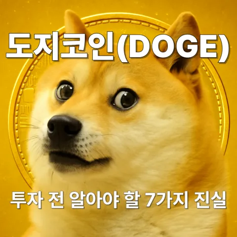 도지코인(DOGE) 투자 전 알아야 할 7가지 진실
